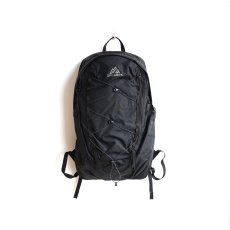 画像1: GREGORY / AVOLITE BACKPACK 22 (1)