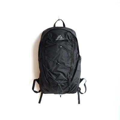 画像1: GREGORY / AEROLITE BACKPACK 22