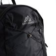 画像5: GREGORY / AEROLITE BACKPACK 22 (5)