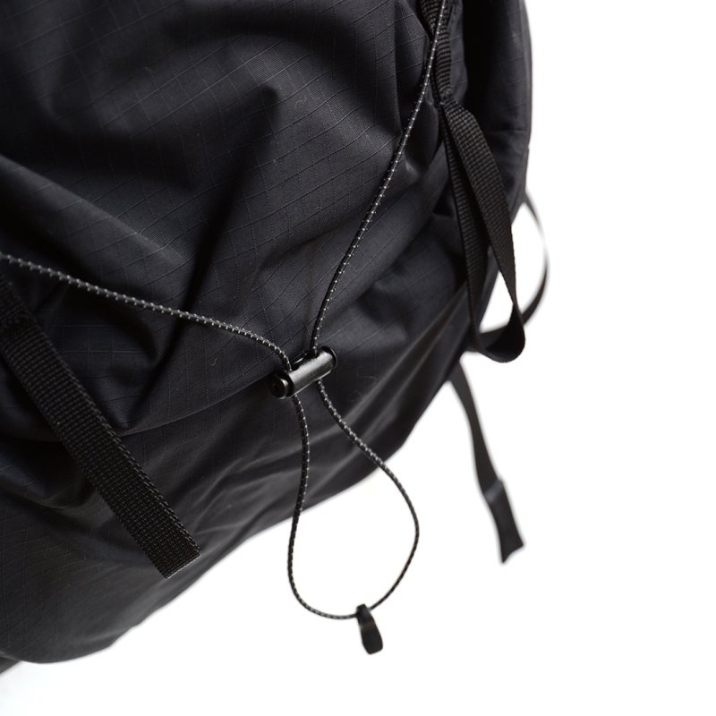 画像2: GREGORY / AVOLITE BACKPACK 22