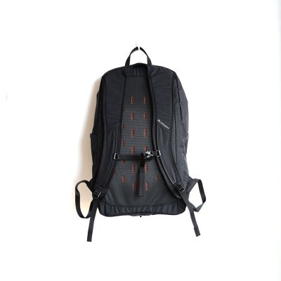画像2: GREGORY / AEROLITE BACKPACK 22