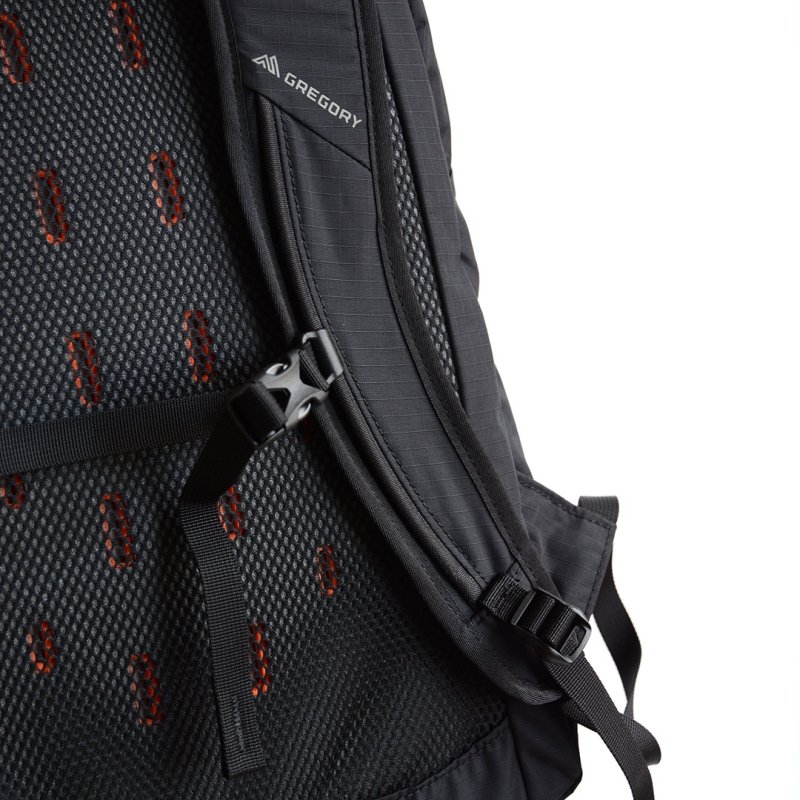 画像1: GREGORY / AVOLITE BACKPACK 22