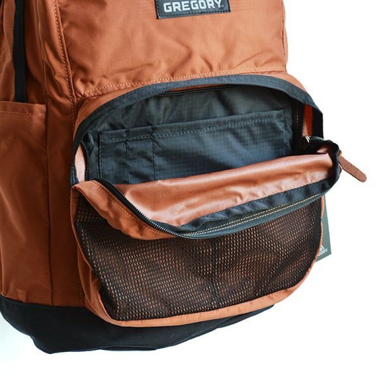 画像1: GREGORY / CAMPUS DAY M RUST