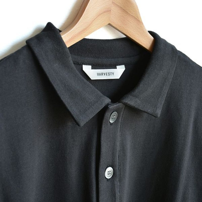 画像1: HARVESTY / JUMBO L/S POLO SHIRT(ジャンボ長袖ポロシャツ)
