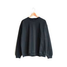 画像1: PERSONAL MATTERS / PROJECT N°17 HEAVYWEIGHT COTTON PULLOVER TEE (1)