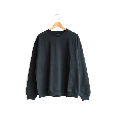 画像1: PERSONAL MATTERS / PROJECT N°17 HEAVYWEIGHT COTTON PULLOVER TEE
