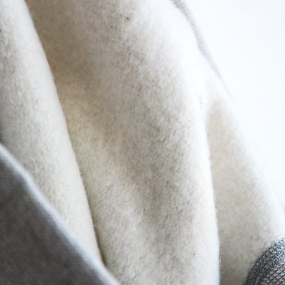 画像9: Champion TRUE TO ARCHIVES / REVERSE WEAVE®︎ Hooded Sweat Shirts(C3-A118)