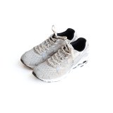 MIZUNO  / WAVE RIDER 10 ( D1GA2611)
