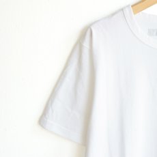 画像5: EEL products / Netsurf (5)