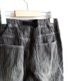 画像9: Gramicci / BIG WALE CARPENTER PANT (G6FM-P053) (9)