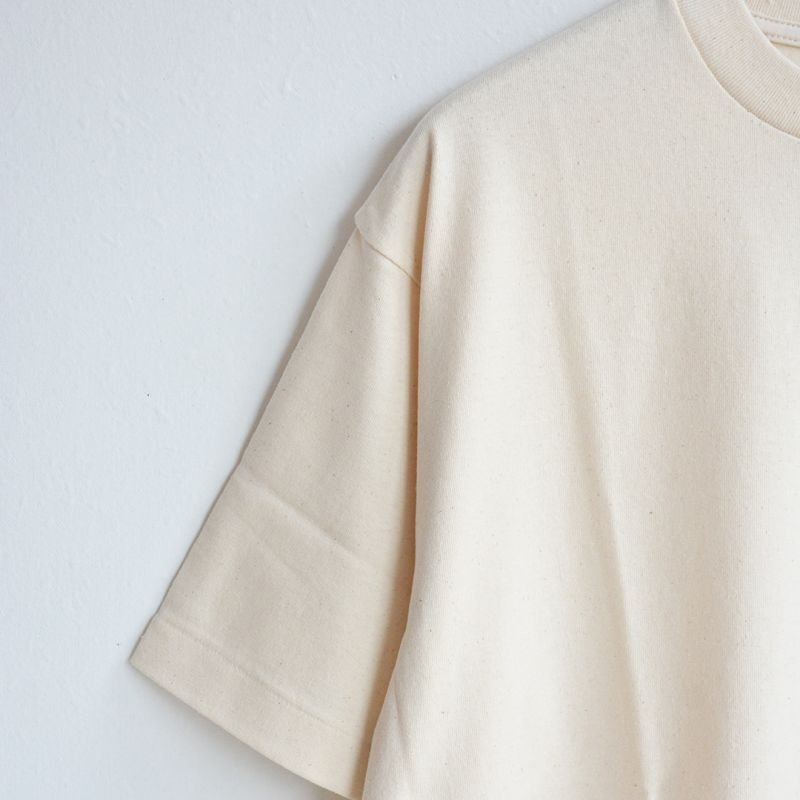 画像1: ORDINARY FITS / RIB T-SHIRTS(OF-C107)