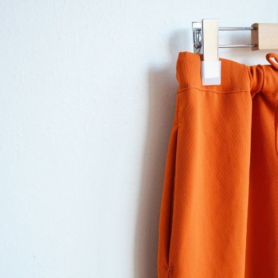 画像6: ironari / シェルパンツ (I-24201)