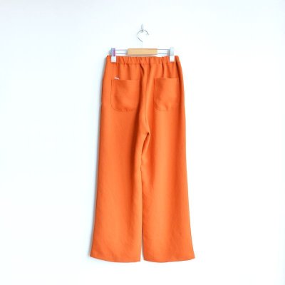 画像3: ironari / シェルパンツ (I-24201)