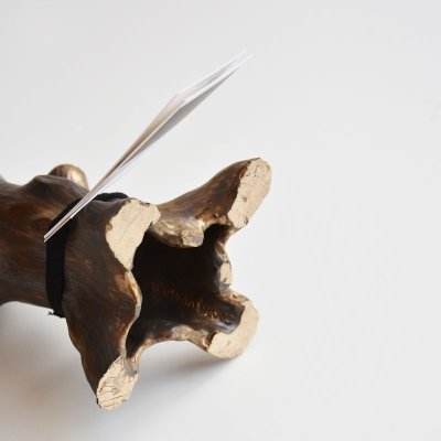 画像6: COMESANDGOES × 増井岳人 / 木 FLOWER VASE