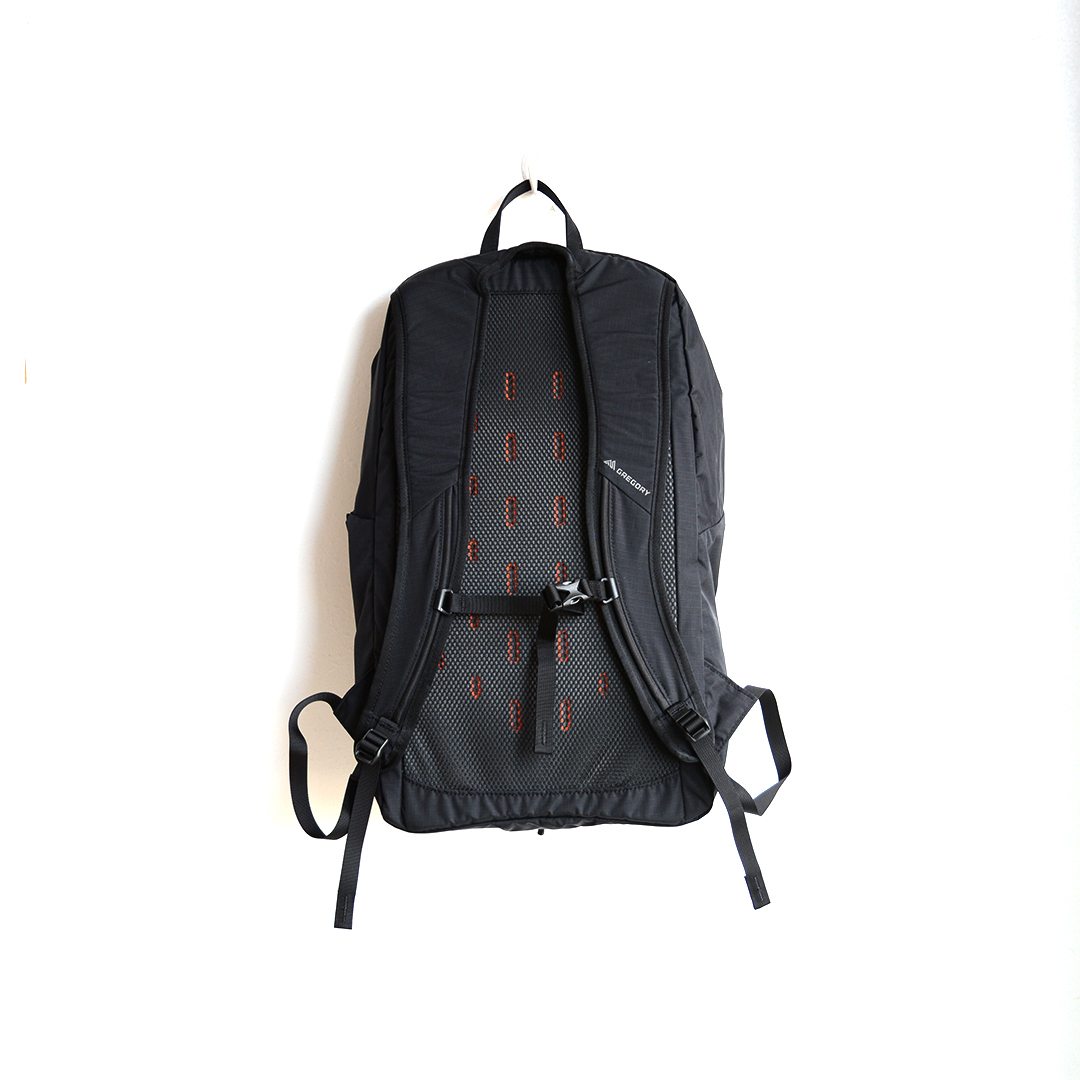 画像2: GREGORY / AEROLITE BACKPACK 22